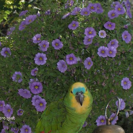Jokelan Kartano Bed & Breakfast Hollola Dış mekan fotoğraf