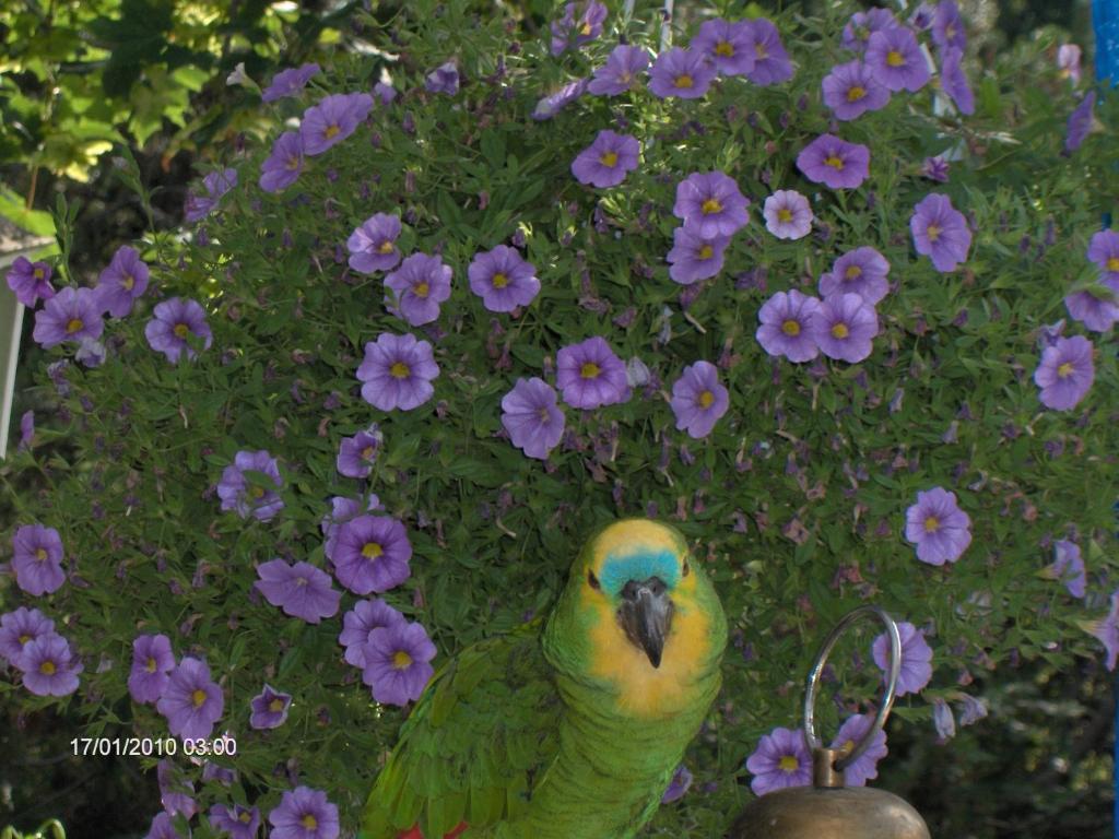 Jokelan Kartano Bed & Breakfast Hollola Dış mekan fotoğraf